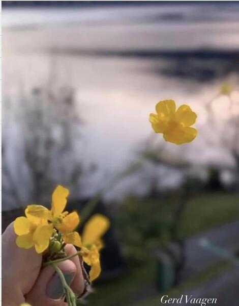 Klikk for å se forhåndsvisning
